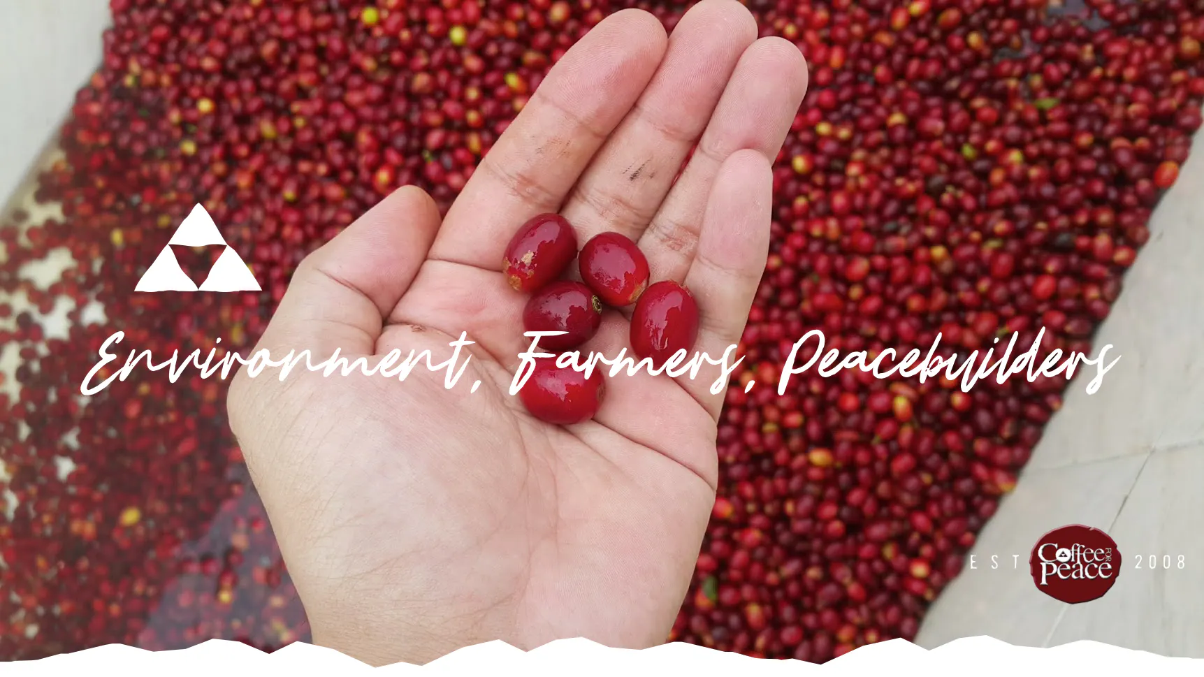 Coffee for Peace community in the Mindanao highlands